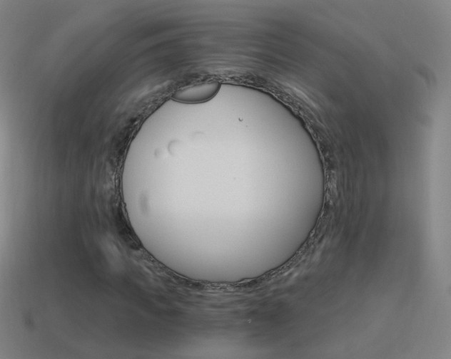 X0000114520917200910190946