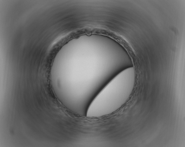 X0000114520919200910190947