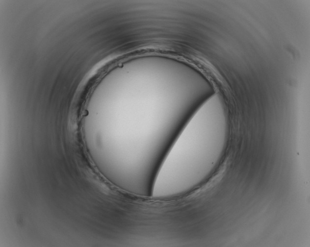 X0000114520923200910190947