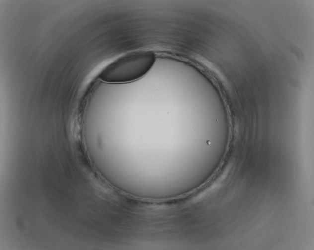 X0000114520925200910190947