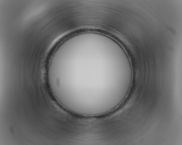 X0000114520926200910190947