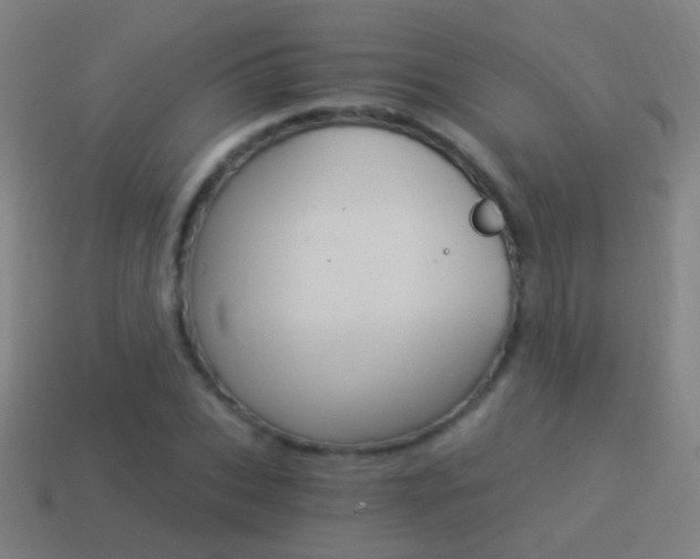 X0000114520927200910190947