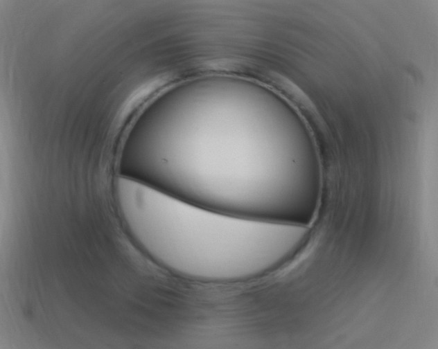 X0000114520930200910190947