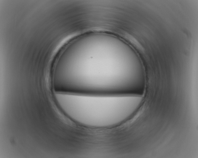 X0000114520934200910190947