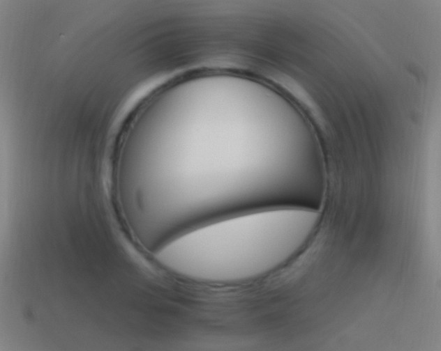 X0000114520935200910190947
