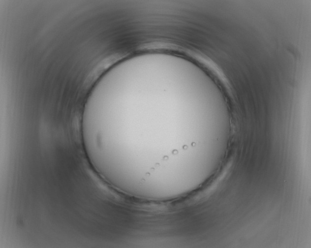 X0000114520937200910190947