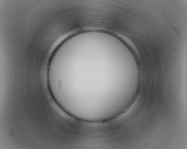 X0000114520941200910190947