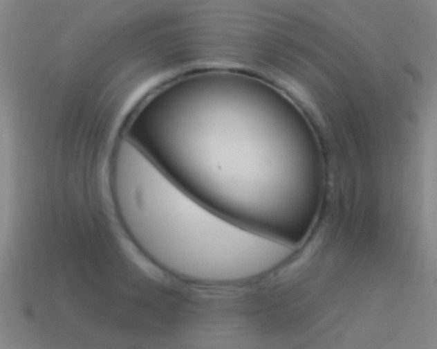 X0000114520942200910190947