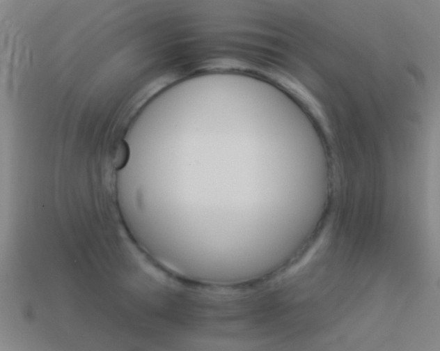 X0000114520945200910190947