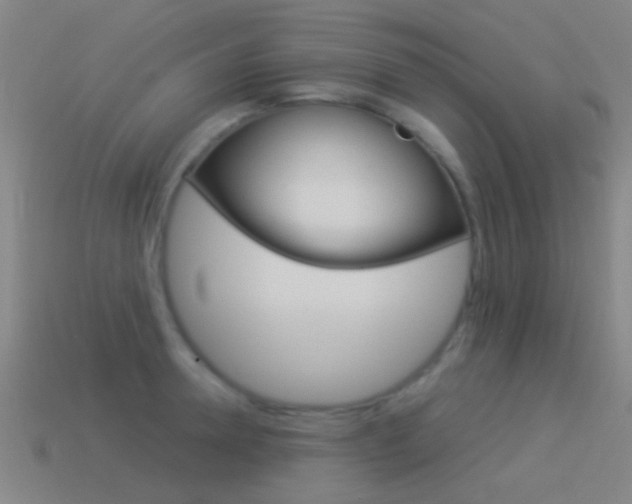 X0000114520946200910190947