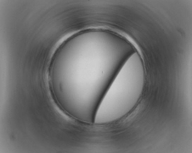 X0000114520951200910190947