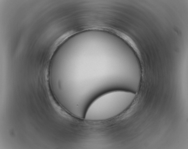X0000114520954200910190947