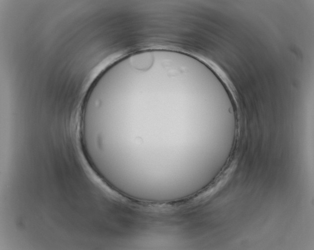 X0000114520957200910190947