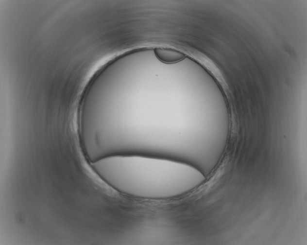 X0000114520958200910190947
