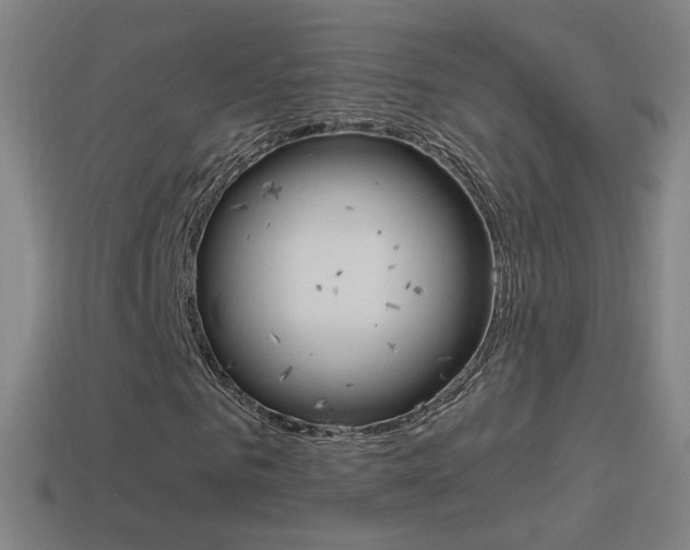 X0000114520961200910190946