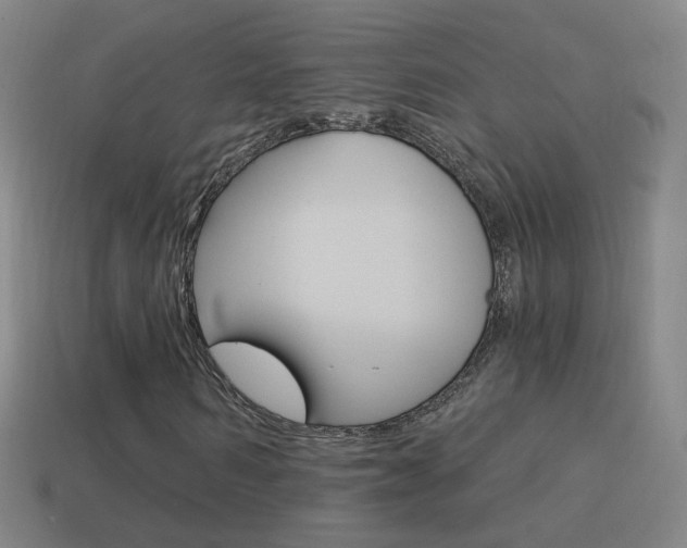 X0000114520962200910190946