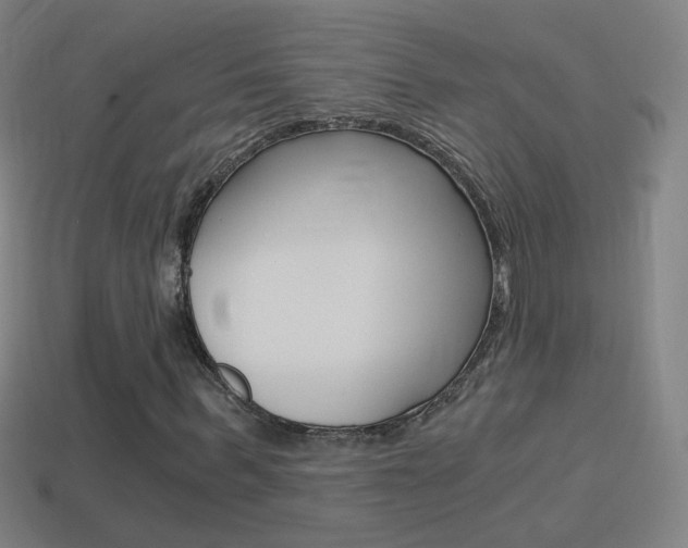 X0000114520963200910190946