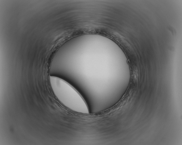 X0000114520964200910190946