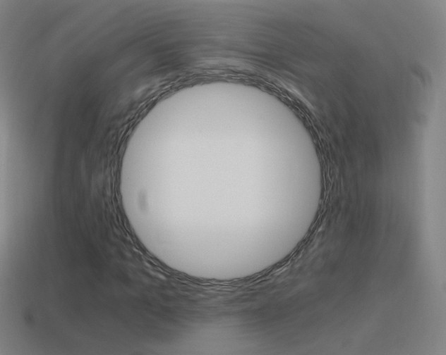 X0000114520965200910190946