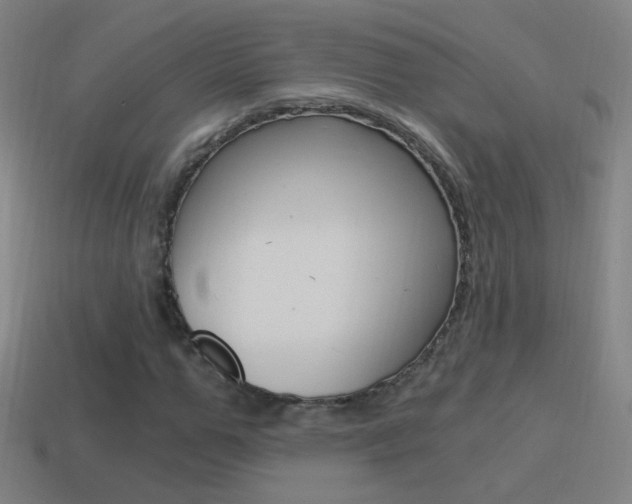 X0000114520967200910190946