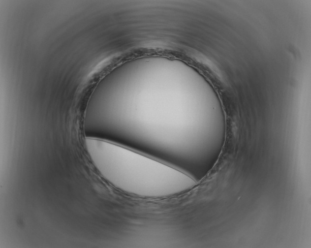 X0000114520968200910190946