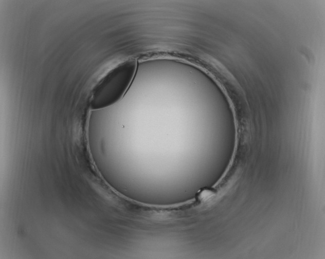 X0000114520969200910190946