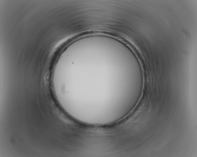 X0000114520971200910190946