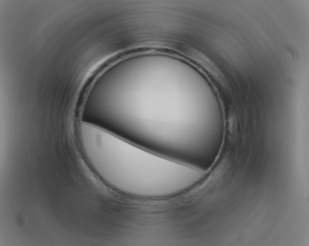 X0000114520972200910190946