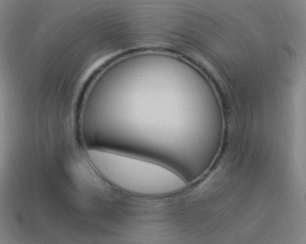 X0000114520975200910190946