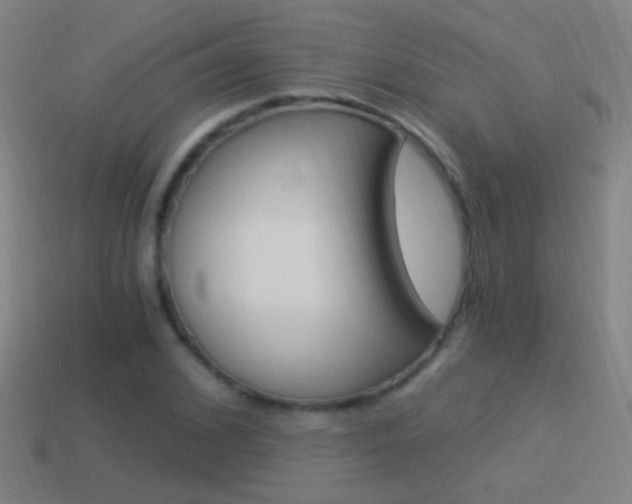 X0000114520976200910190946