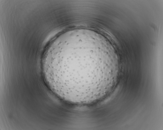 X0000114520978200910190946
