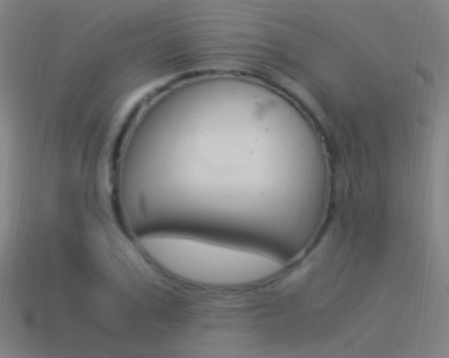 X0000114520979200910190946