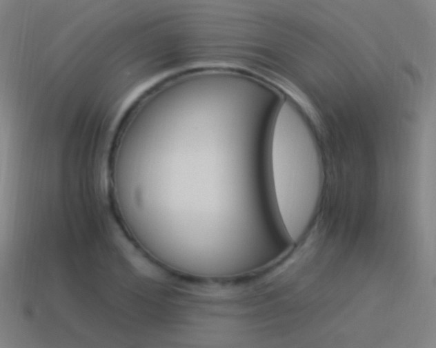 X0000114520980200910190946