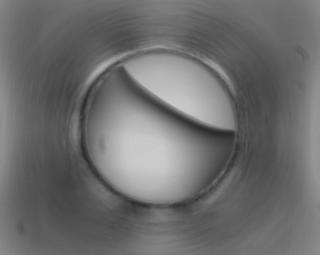 X0000114520983200910190946