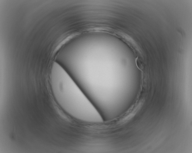 X0000114520985200910190946