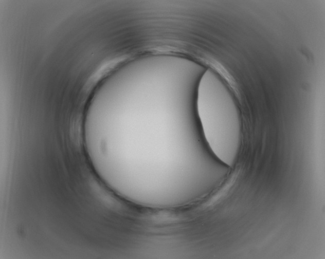 X0000114520986200910190946