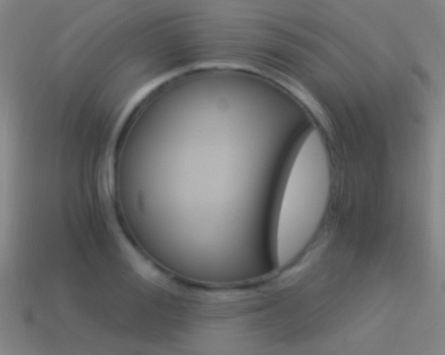 X0000114520988200910190946
