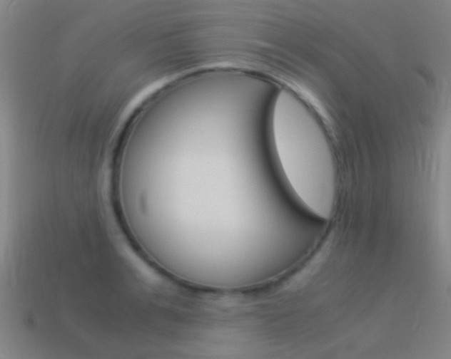 X0000114520991200910190946