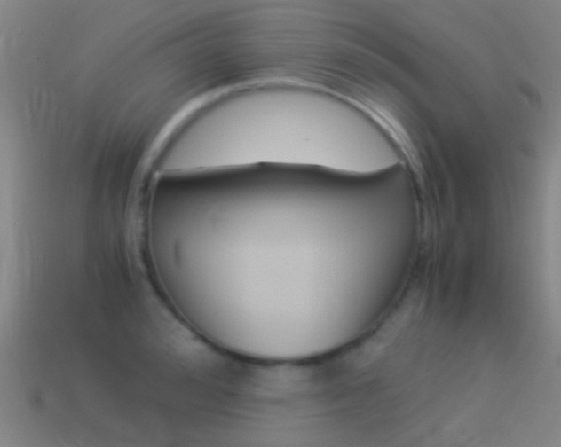 X0000114520992200910190946