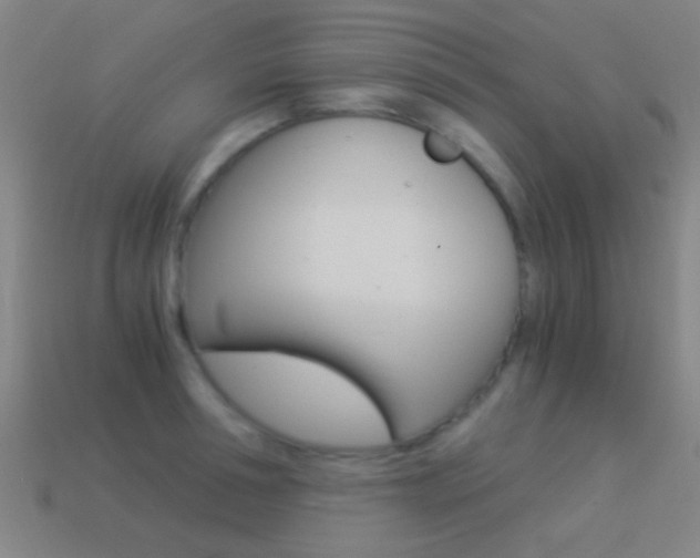 X0000114520994200910190946