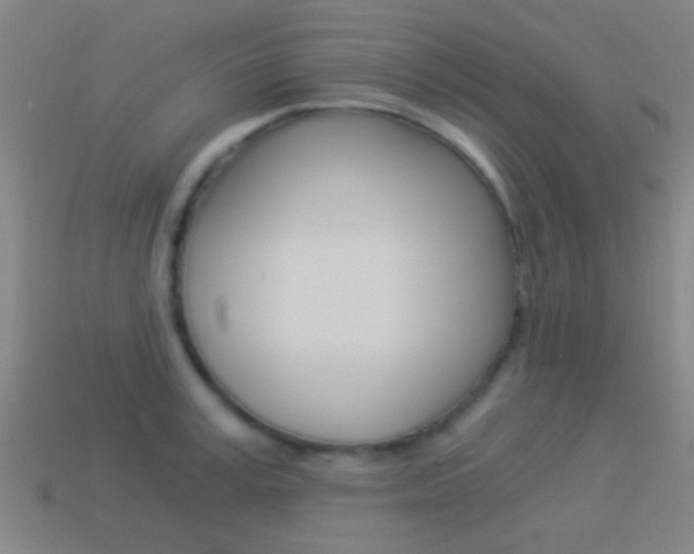 X0000114520995200910190946