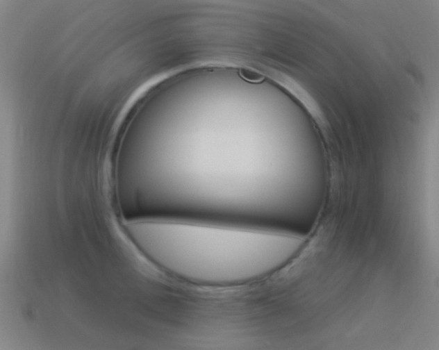 X0000114520996200910190946