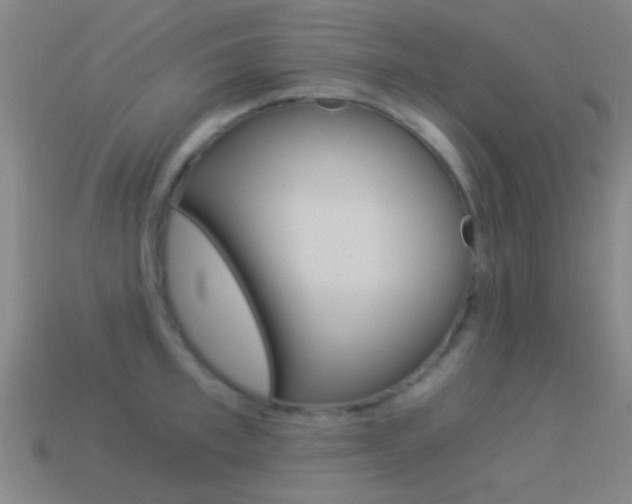 X0000114520997200910190946