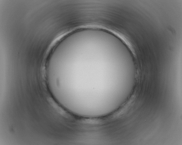 X0000114520998200910190946