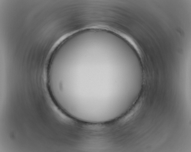 X0000114520999200910190946