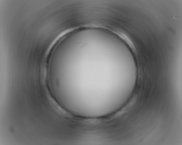 X0000114521000200910190946