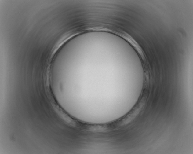 X0000114521002200910190946