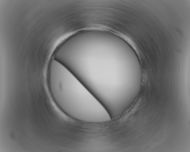 X0000114521003200910190946