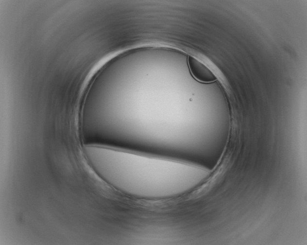 X0000114521004200910190946