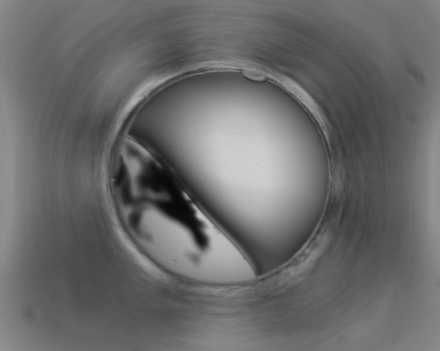 X0000114521005200910190946